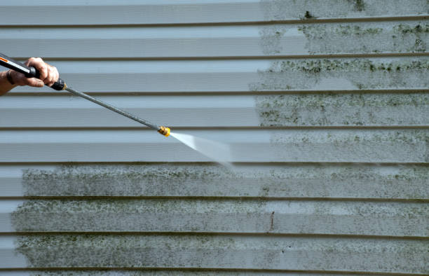 Best Exterior Home Cleaning  in Paw Paw Lake, MI