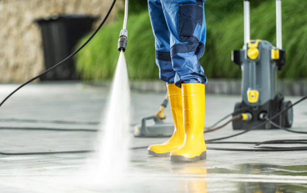 Best Power Washing Near Me  in Paw Paw Lake, MI