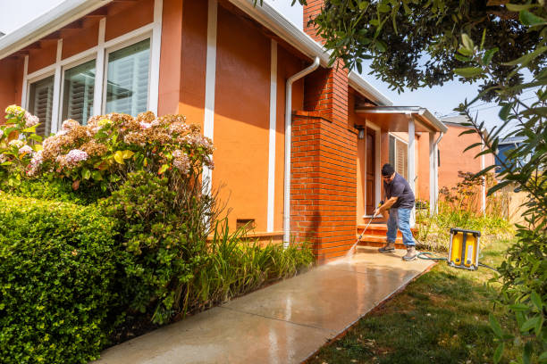 Best Affordable Pressure Washing  in Paw Paw Lake, MI