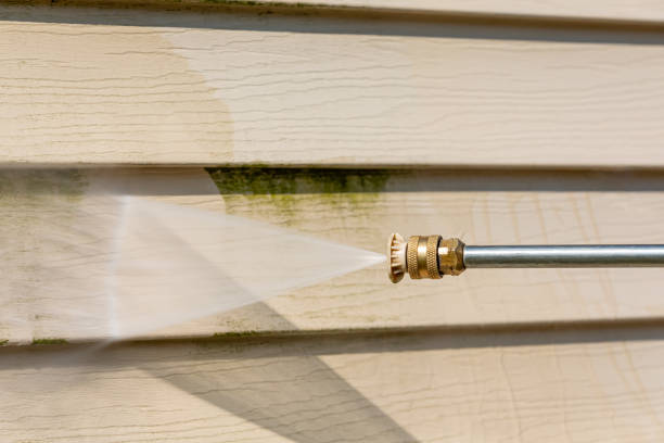 Best Exterior Home Cleaning  in Paw Paw Lake, MI