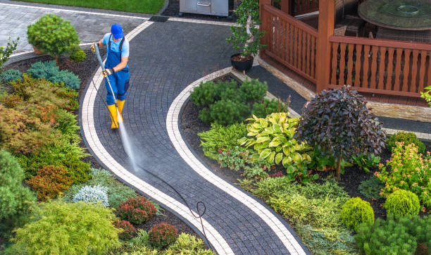Best Deck Pressure Washing  in Paw Paw Lake, MI